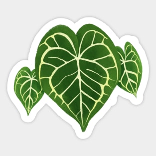 Philodendron Gloriosum Monstera Leaf Sticker